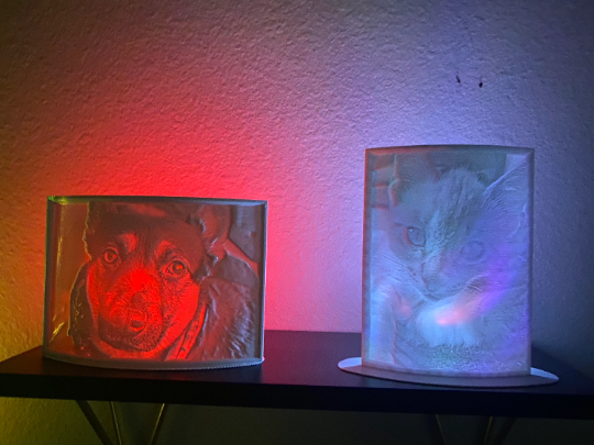 Lithopane backlit picture: Your custom photo!