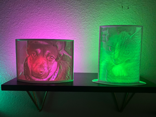 Lithopane backlit picture: Your custom photo!