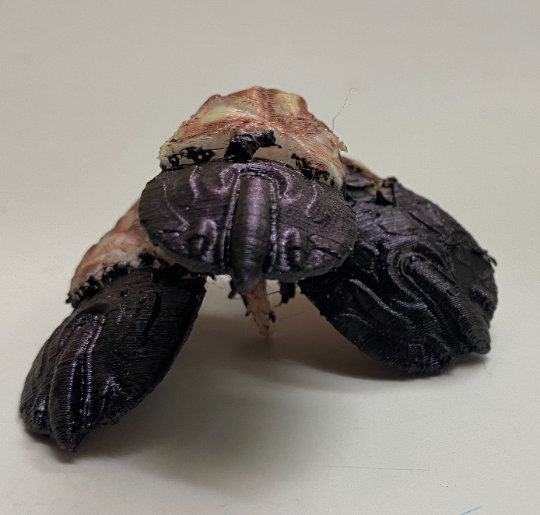 Halo: Fan made Human/Covenant Flood “Ratking” fighter