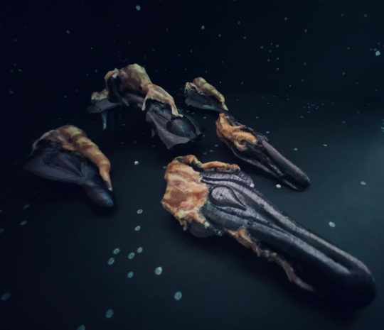 Halo: Fan made Flooded Covenant Battlegroup